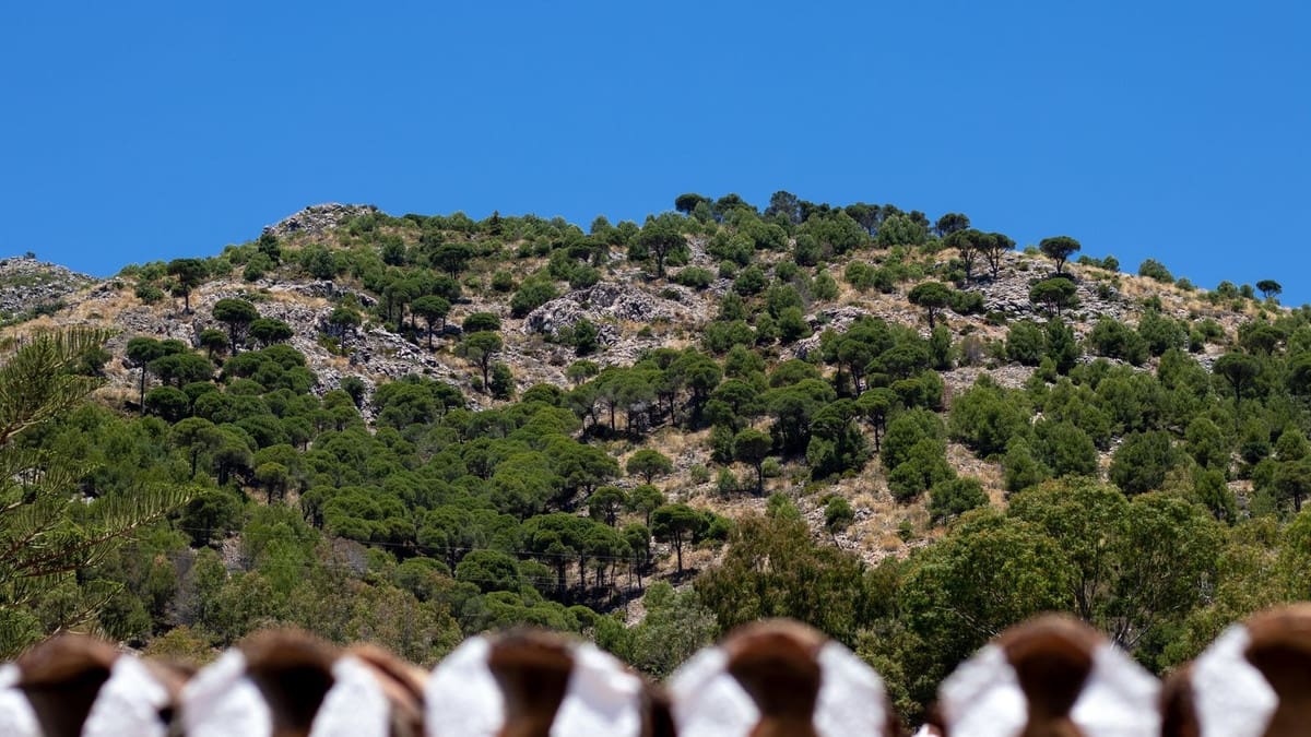 3 soverom Villa til salgs i Mijas - € 995 000 (Ref: 9866080)