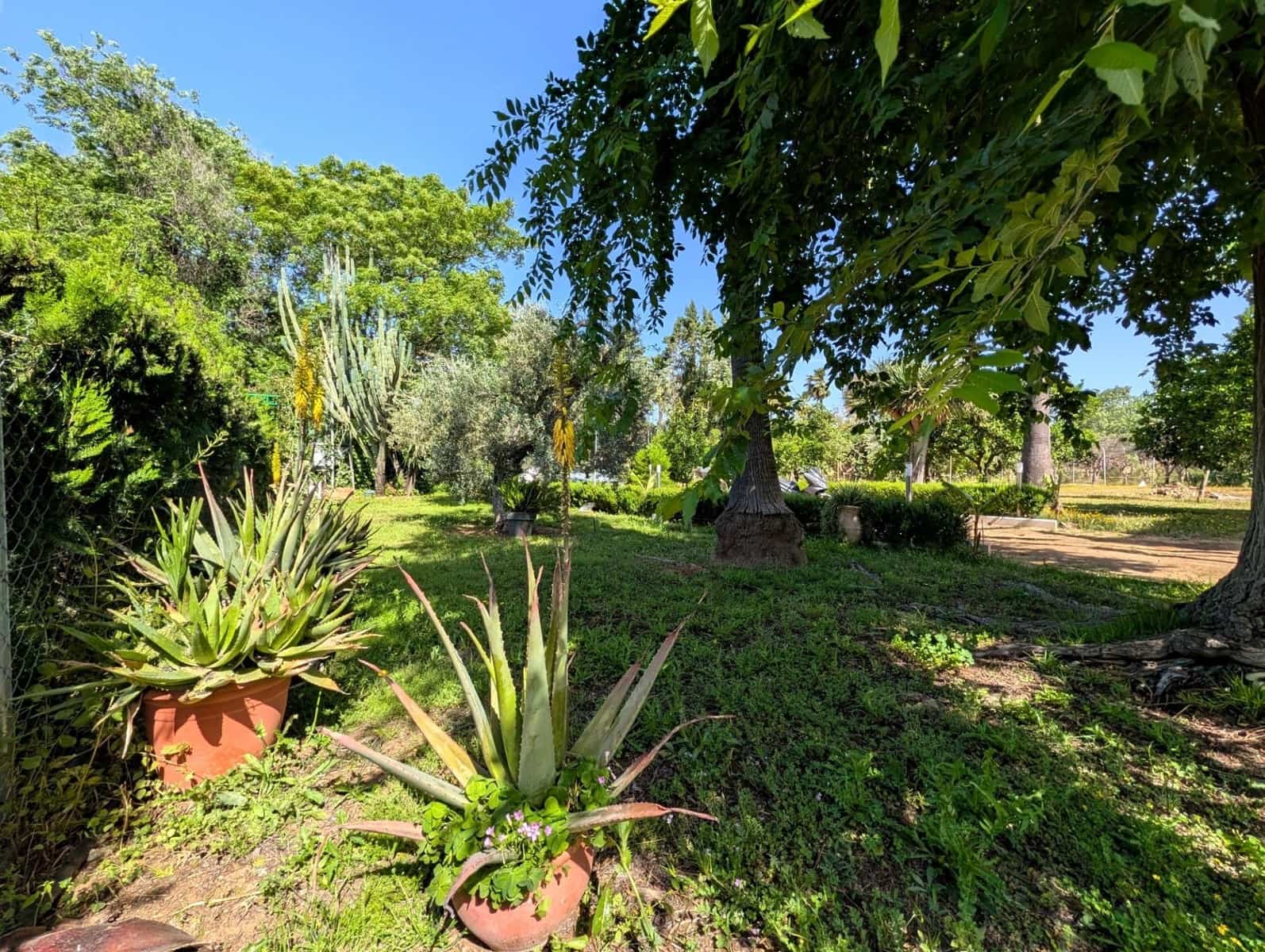 3 bedroom Villa for sale in Sanlucar la Mayor - € 280,000 (Ref: 9897349)