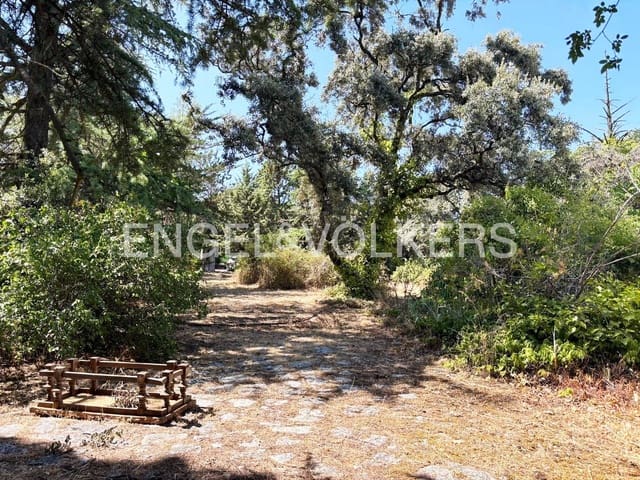 Byggegrund til salg i Las Rozas de Madrid - € 5.900.000 (Ref: 9118359)