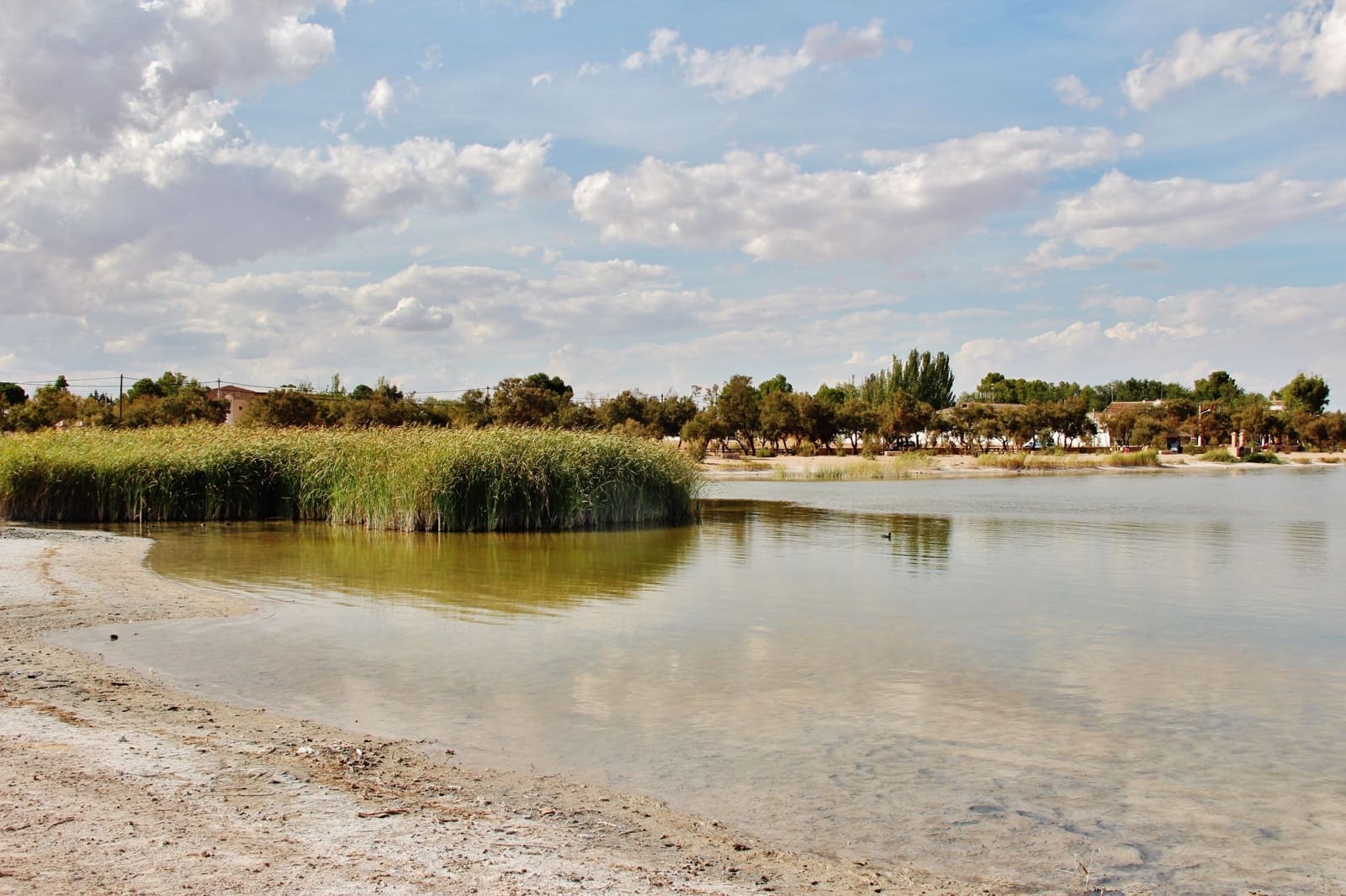 5 bedroom Finca/Country House for sale in Villafranca de los Caballeros with garage - € 190,000 (Ref: 6665629)