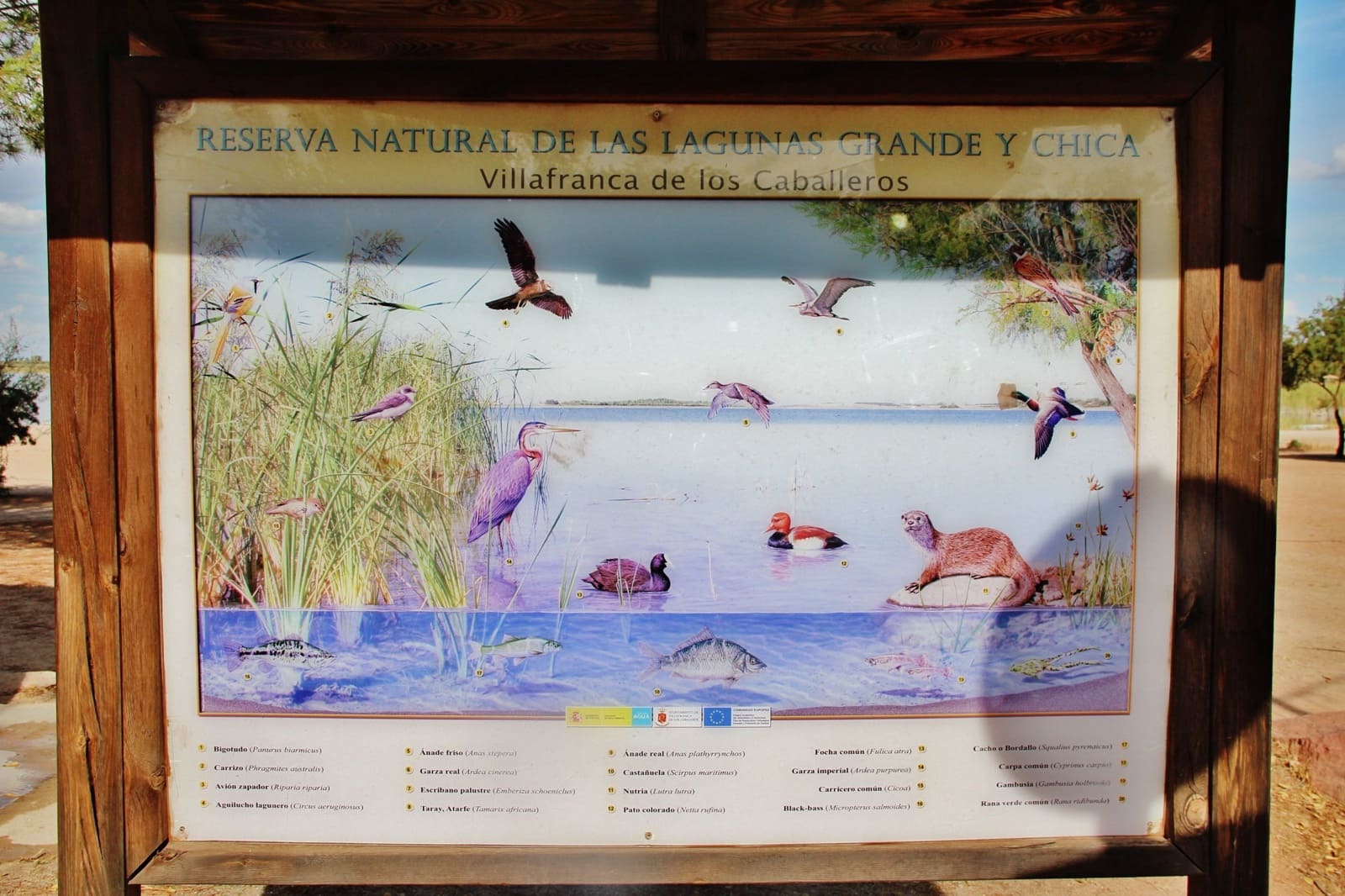 5 bedroom Finca/Country House for sale in Villafranca de los Caballeros with garage - € 190,000 (Ref: 6665629)