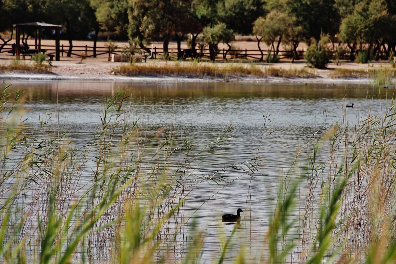 5 bedroom Finca/Country House for sale in Villafranca de los Caballeros with garage - € 190,000 (Ref: 6665629)