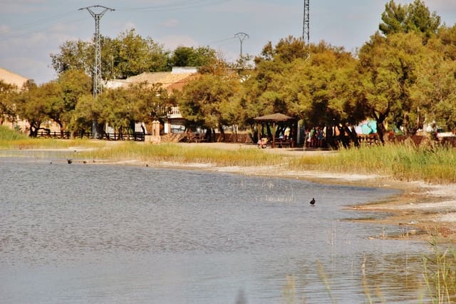 5 Zimmer Finca/Landgut zu verkaufen in Villafranca de los Caballeros mit Garage - 190.000 € (Ref: 6665629)