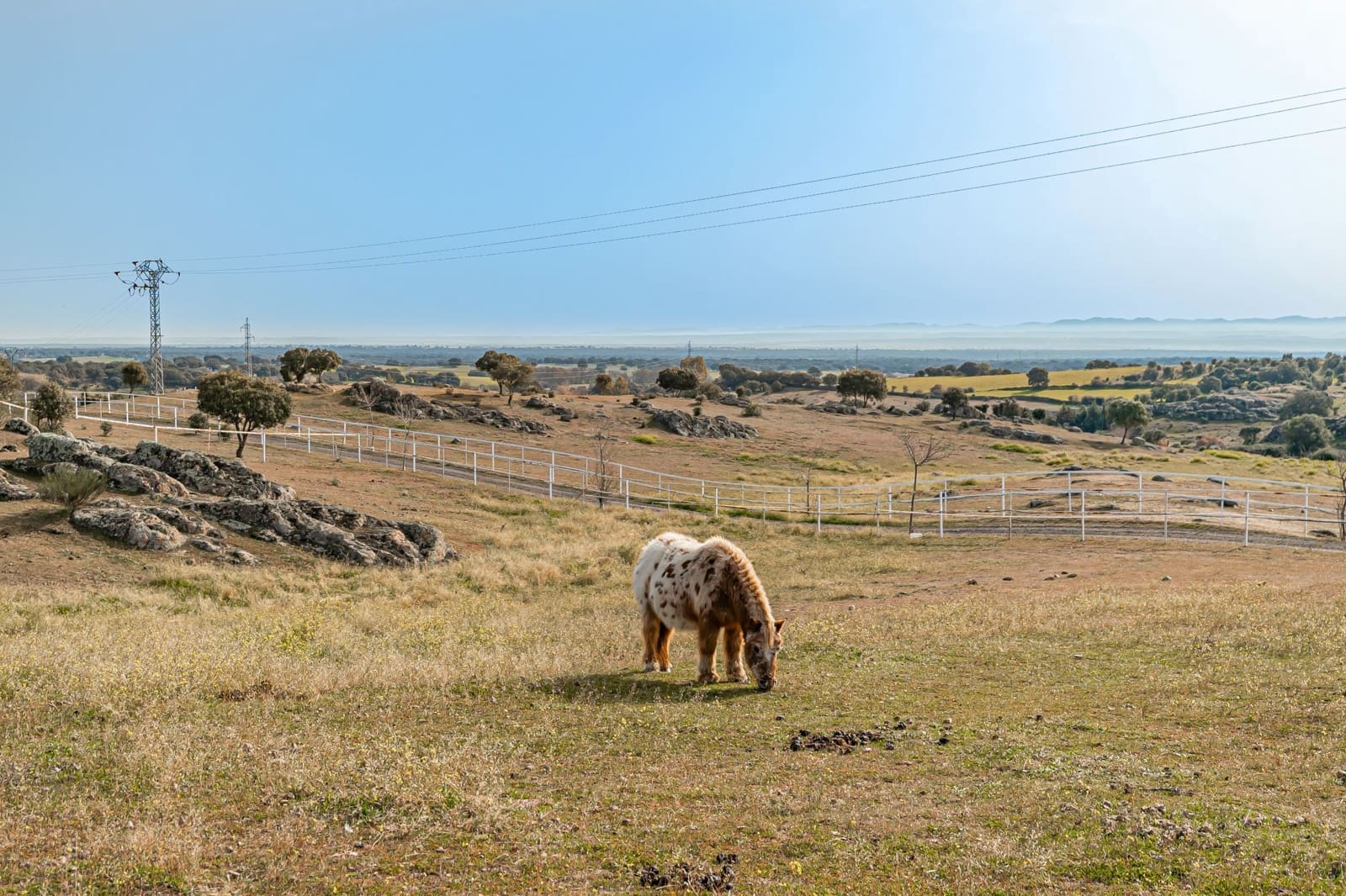 2 soveværelse Finca/Landehus til salg i Toledo by med swimmingpool garage - € 670.000 (Ref: 6665791)