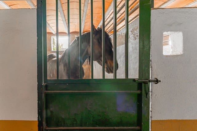 2 bedroom Finca/Country House for sale in Toledo city with pool garage - € 670,000 (Ref: 6665791)