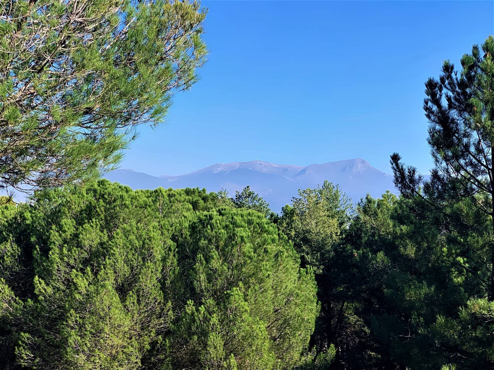 14 bedroom Finca/Country House for sale in Guadarrama with pool garage - € 3,500,000 (Ref: 7264606)