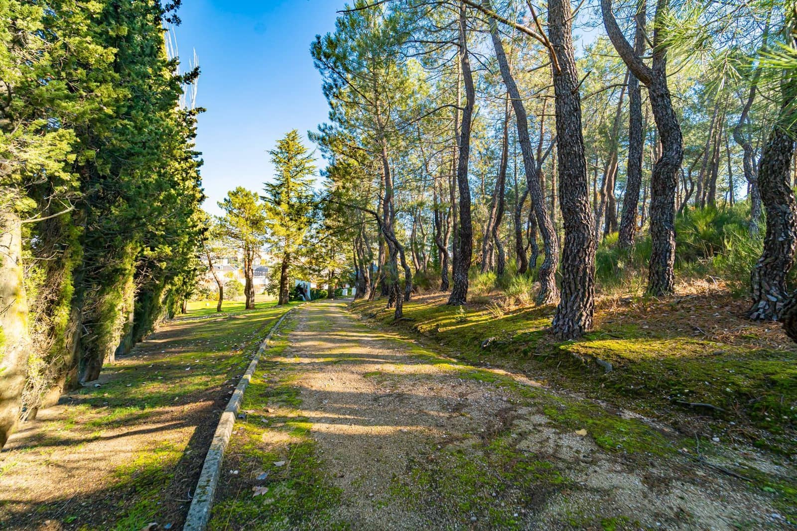 14 bedroom Finca/Country House for sale in Guadarrama with pool garage - € 3,500,000 (Ref: 7264606)