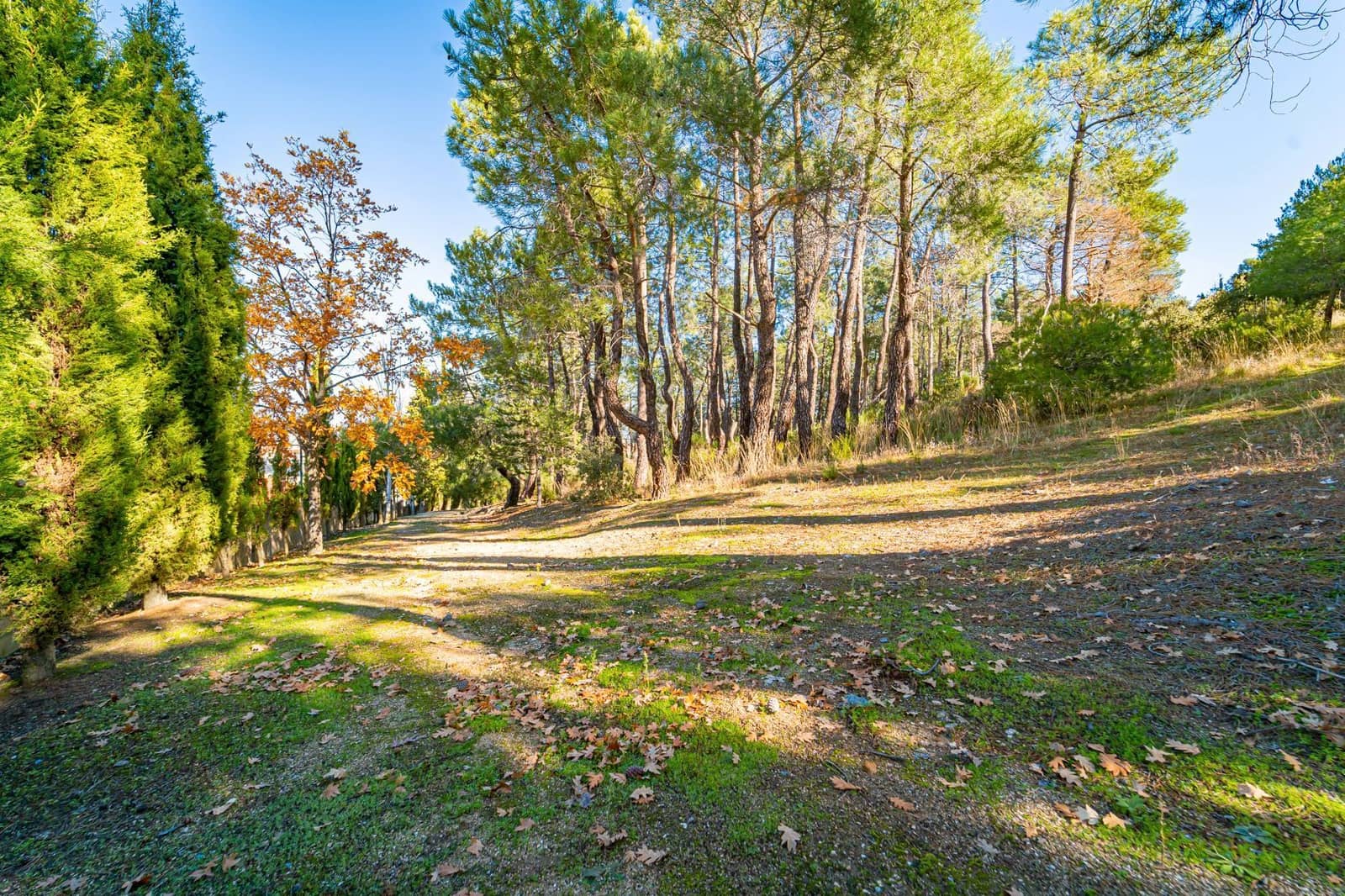 14 bedroom Finca/Country House for sale in Guadarrama with pool garage - € 3,500,000 (Ref: 7264606)