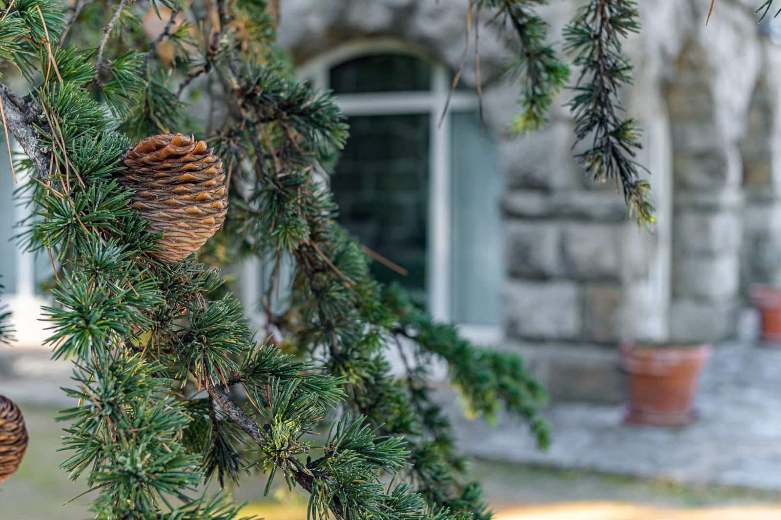 14 bedroom Finca/Country House for sale in Guadarrama with pool garage - € 3,500,000 (Ref: 7264606)