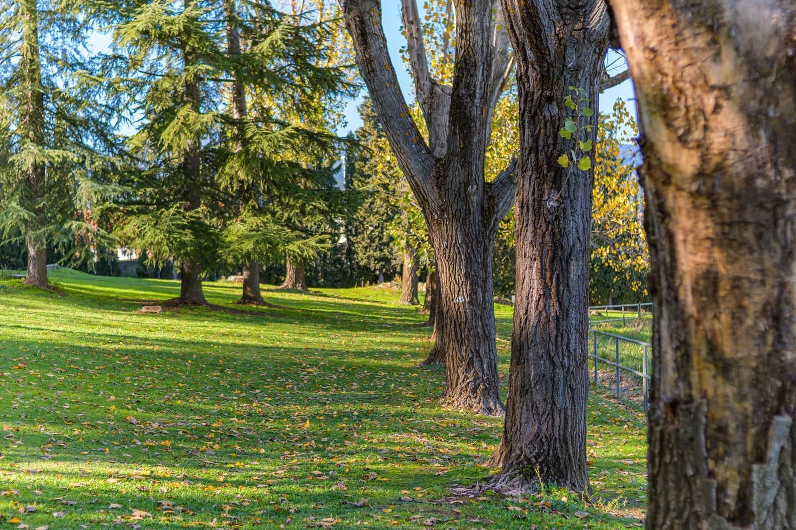 14 bedroom Finca/Country House for sale in Guadarrama with pool garage - € 3,500,000 (Ref: 7264606)