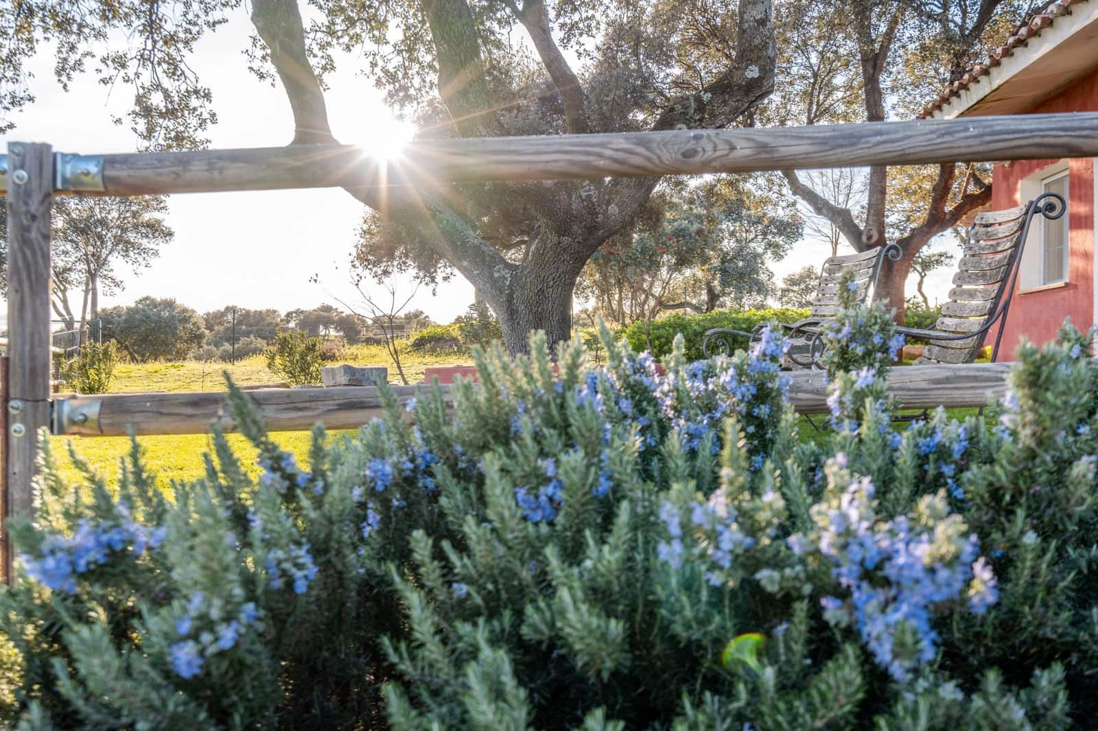 Finca/Casa Rural de 5 habitaciones en Chapinería en venta con piscina garaje - 2.500.000 € (Ref: 8129084)