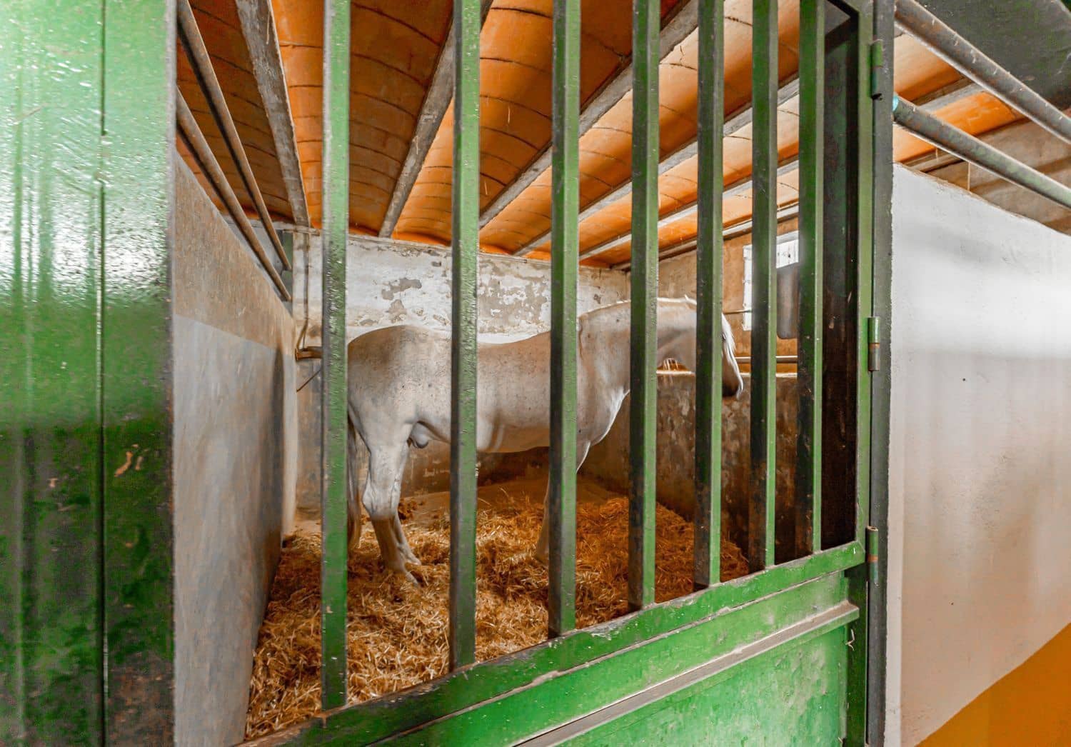 2 soveværelse Finca/Landehus til leje i Toledo by - € 5.000 (Ref: 8765601)