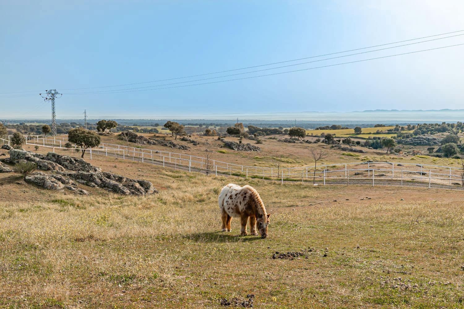 2 soveværelse Finca/Landehus til leje i Toledo by - € 5.000 (Ref: 8765601)