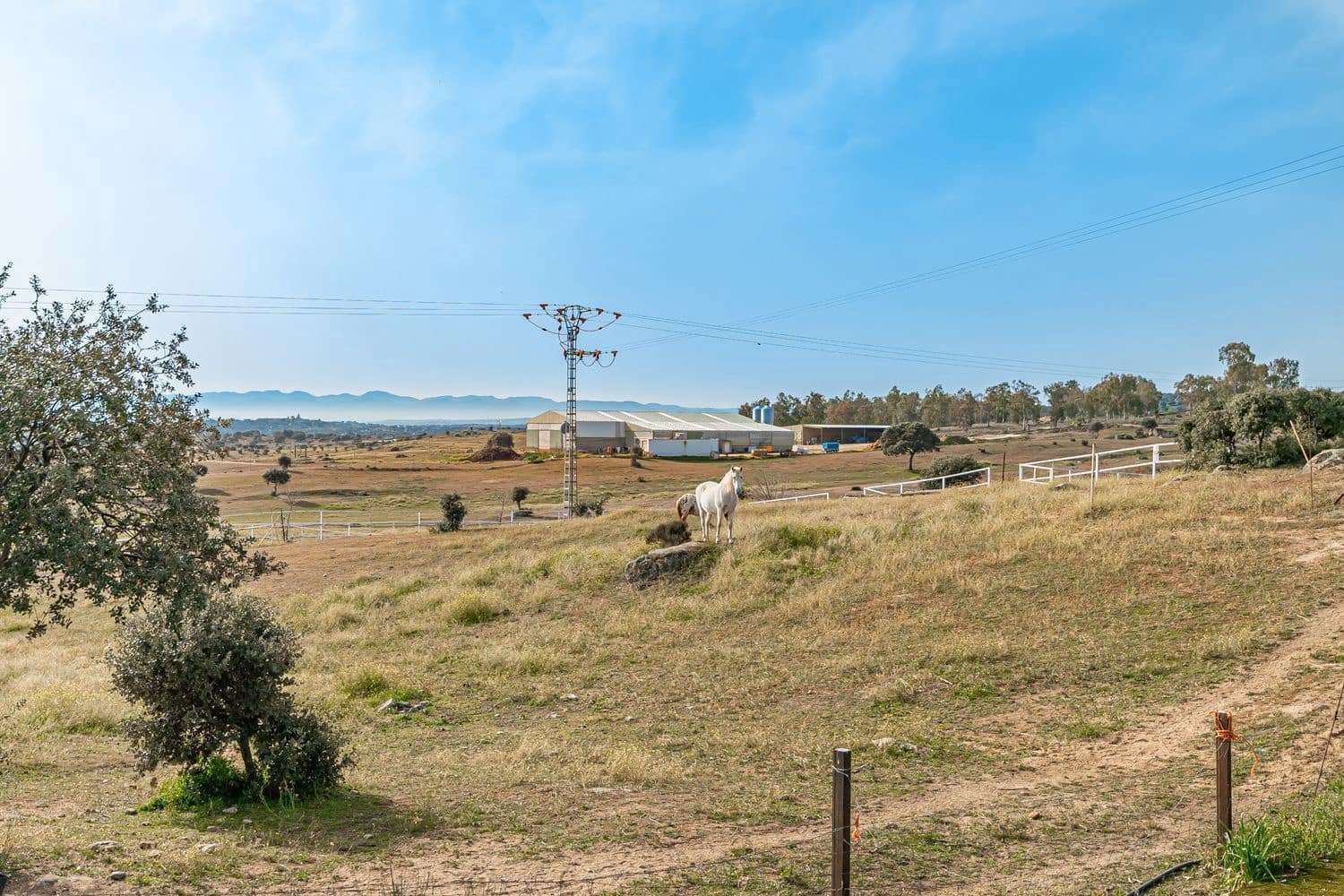 2 soveværelse Finca/Landehus til leje i Toledo by - € 5.000 (Ref: 8765601)