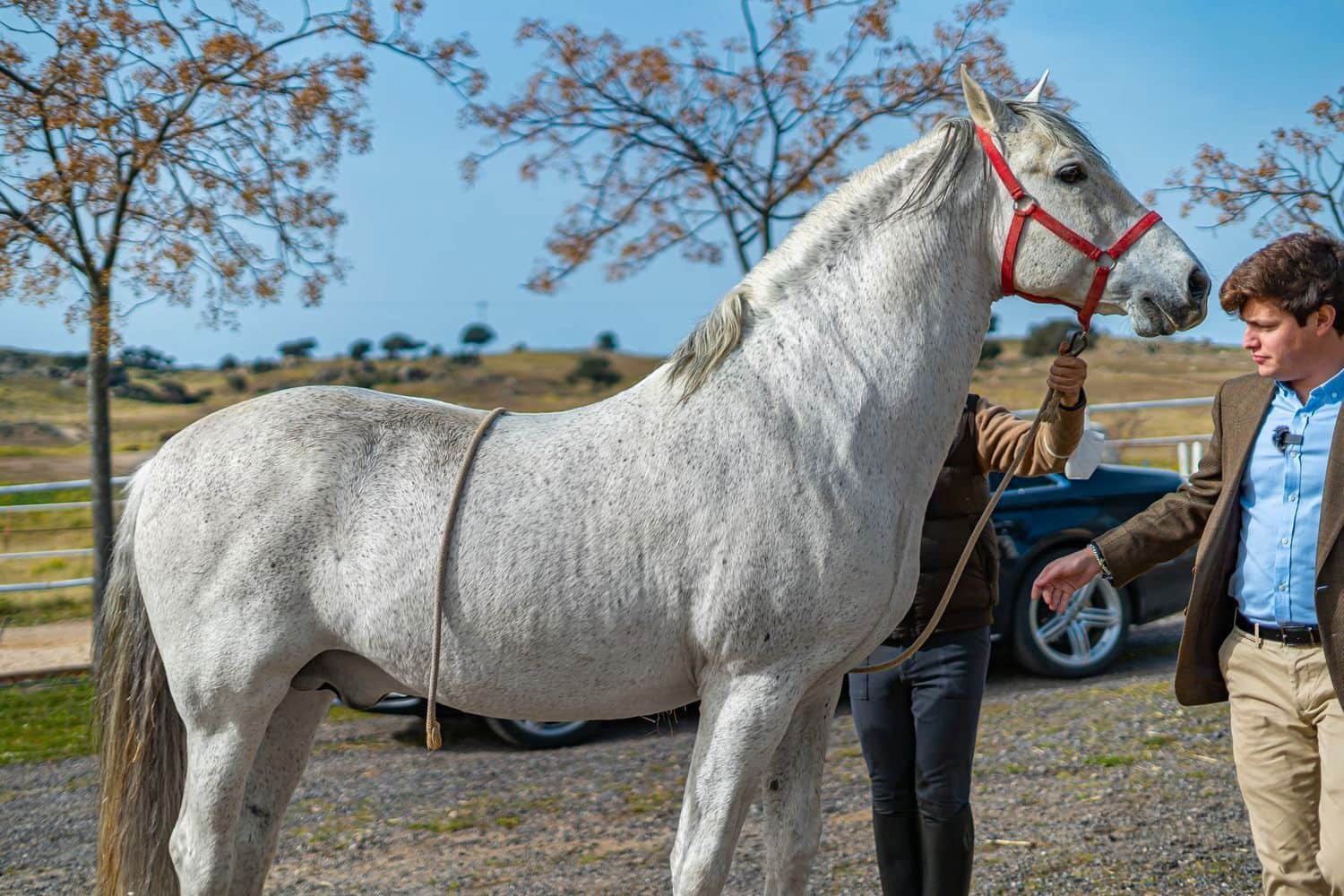 2 soveværelse Finca/Landehus til leje i Toledo by - € 5.000 (Ref: 8765601)
