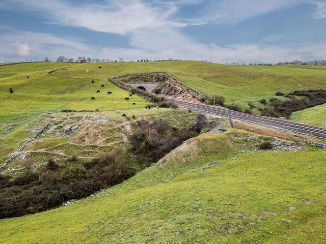 Local Commercial à vendre à Colmenar Viejo - 550 000 € (Ref: 8878503)