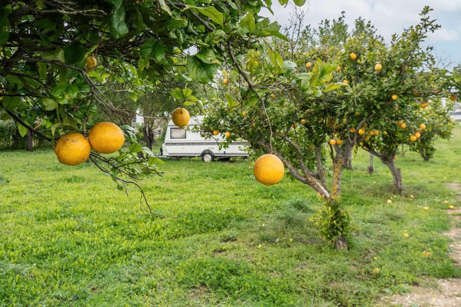 4 camera da letto Finca/Casa di Campagna in vendita in Chiclana de la Frontera con piscina garage - 599.000 € (Rif: 8902733)