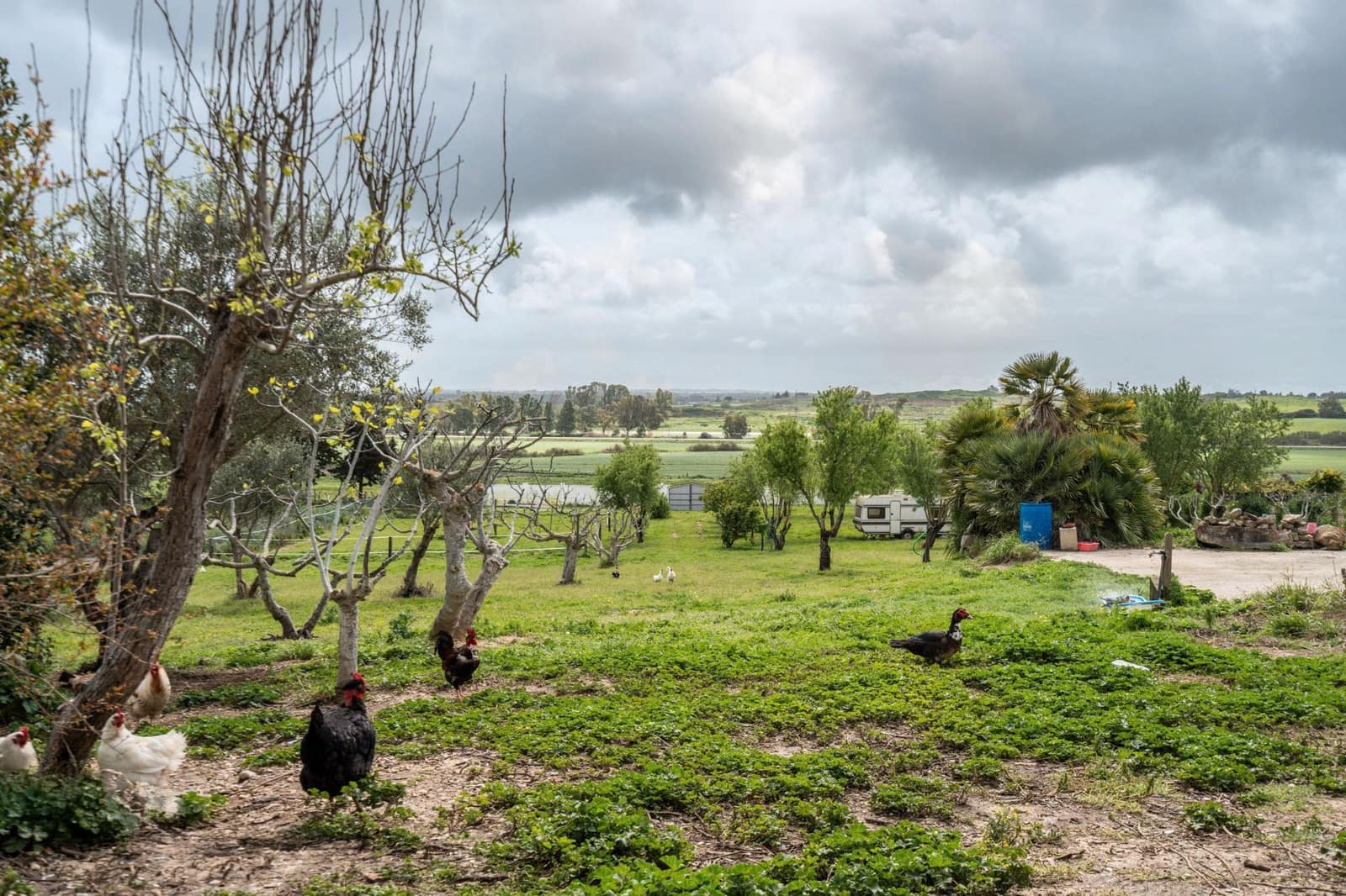 4 camera da letto Finca/Casa di Campagna in vendita in Chiclana de la Frontera con piscina garage - 599.000 € (Rif: 8902733)