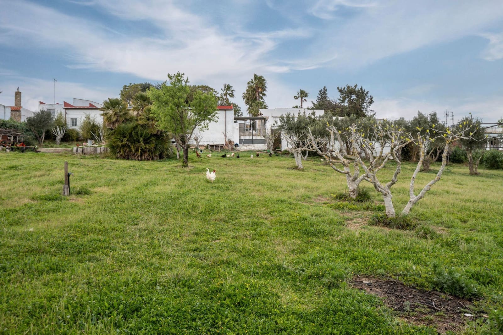 4 camera da letto Finca/Casa di Campagna in vendita in Chiclana de la Frontera con piscina garage - 599.000 € (Rif: 8902733)