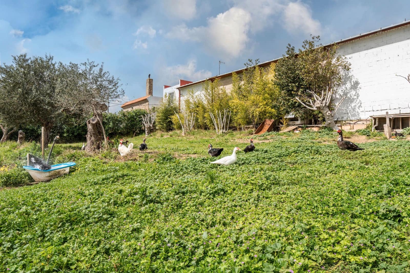 4 camera da letto Finca/Casa di Campagna in vendita in Chiclana de la Frontera con piscina garage - 599.000 € (Rif: 8902733)