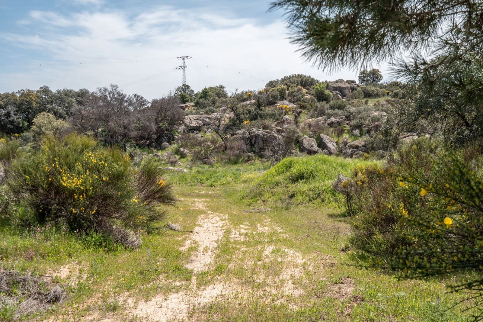 4 bedroom Finca/Country House for sale in Almorox - € 600,000 (Ref: 8942307)