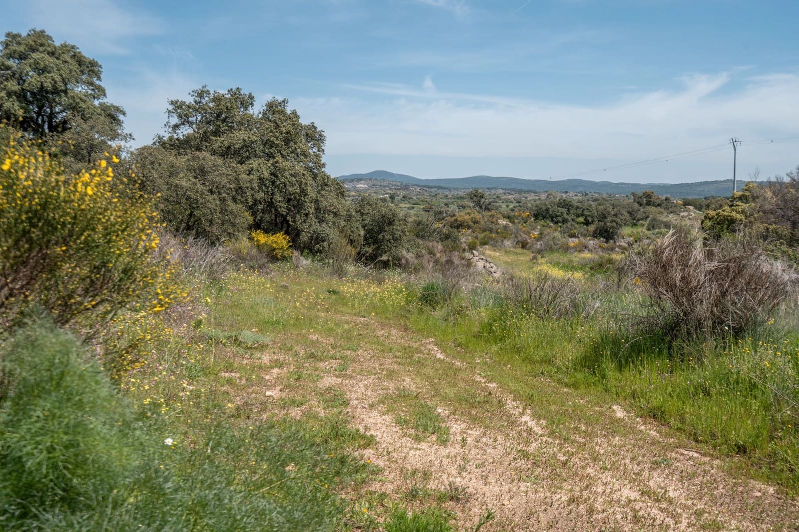 4 bedroom Finca/Country House for sale in Almorox - € 600,000 (Ref: 8942307)