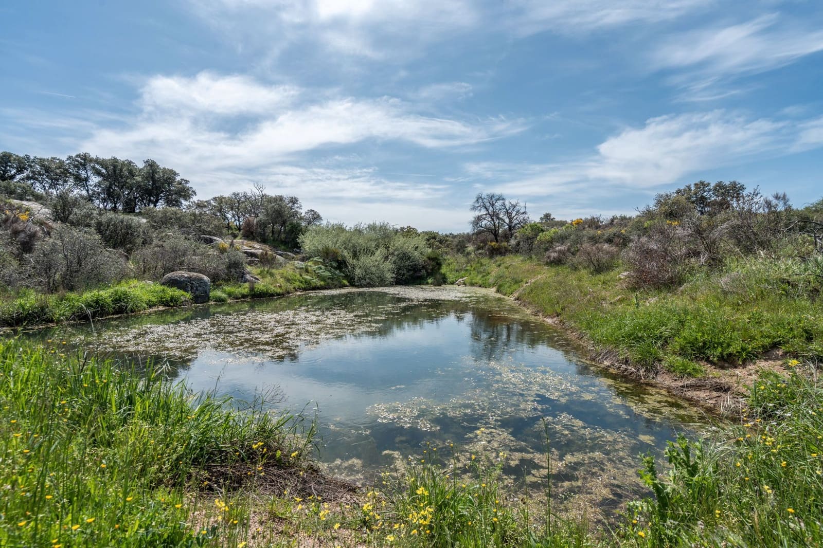 4 bedroom Finca/Country House for sale in Almorox - € 600,000 (Ref: 8942307)