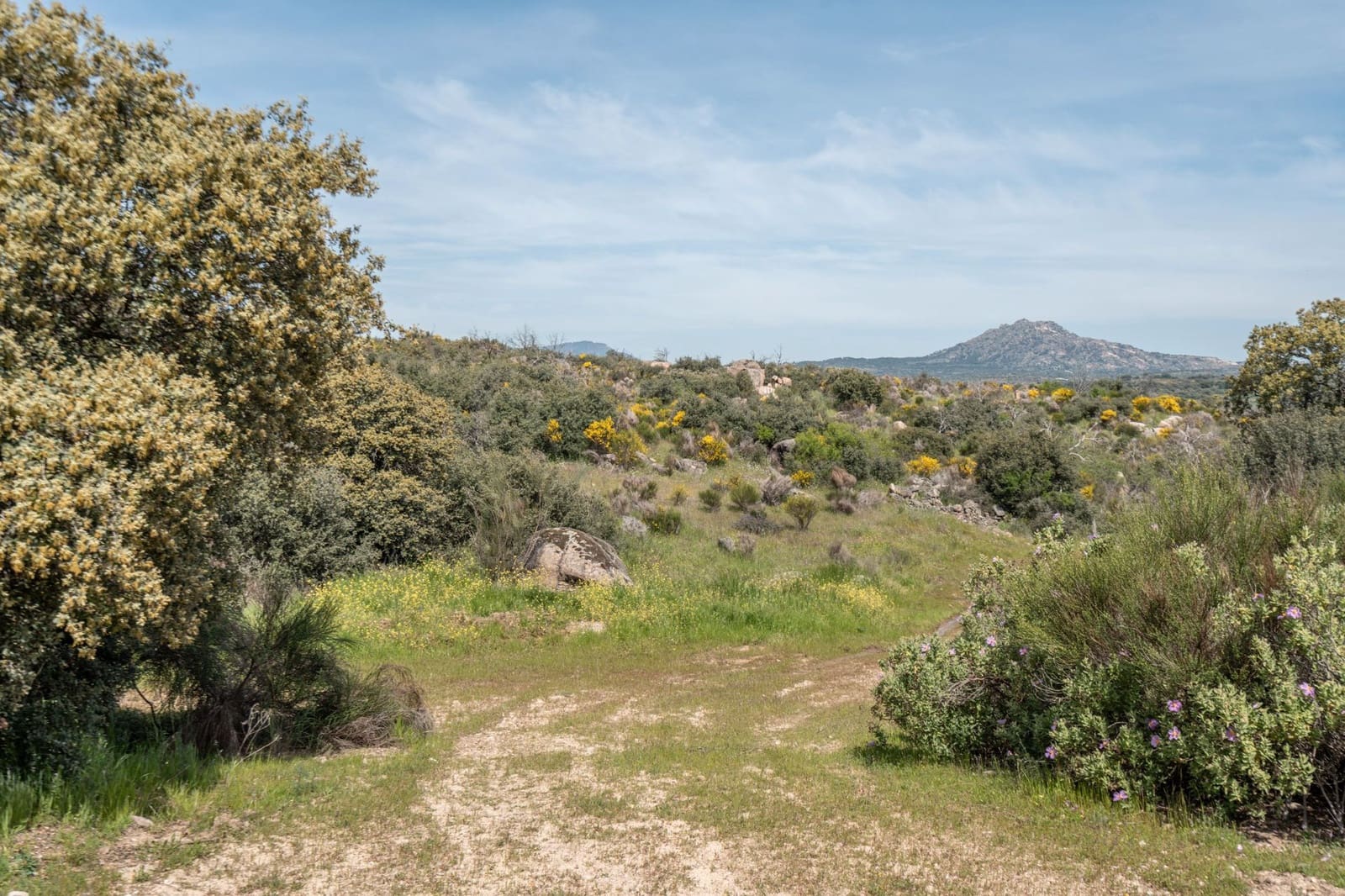 4 bedroom Finca/Country House for sale in Almorox - € 600,000 (Ref: 8942307)