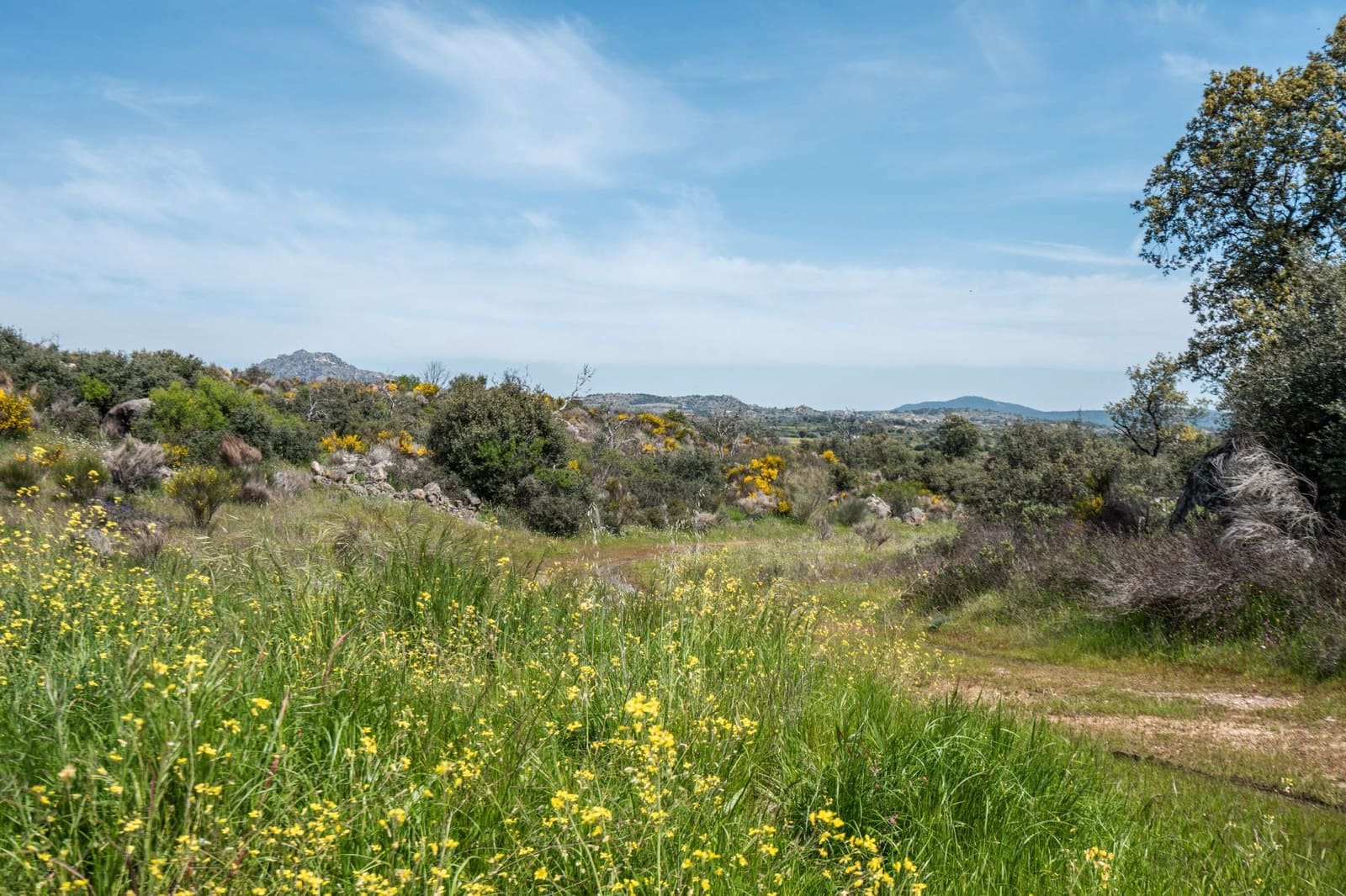 4 bedroom Finca/Country House for sale in Almorox - € 600,000 (Ref: 8942307)