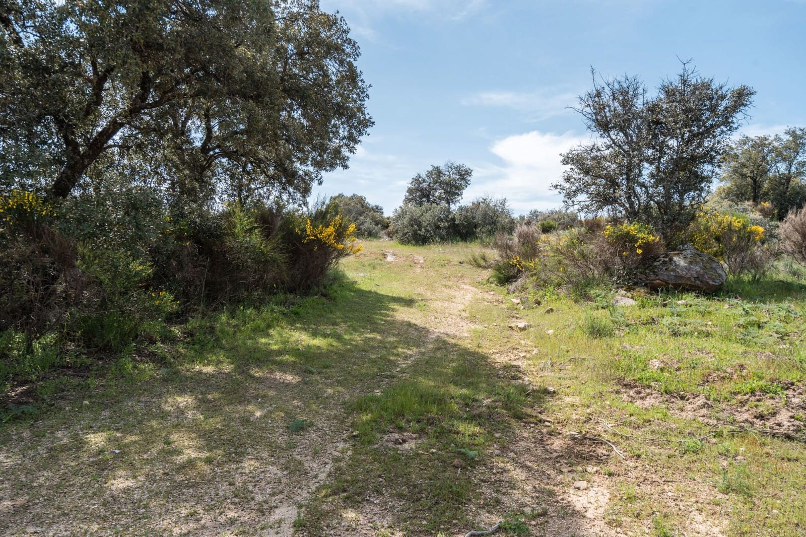 4 bedroom Finca/Country House for sale in Almorox - € 600,000 (Ref: 8942307)