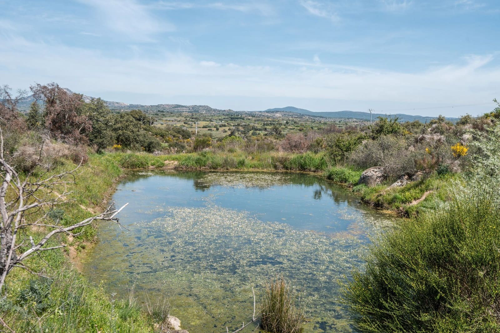 4 bedroom Finca/Country House for sale in Almorox - € 600,000 (Ref: 8942307)