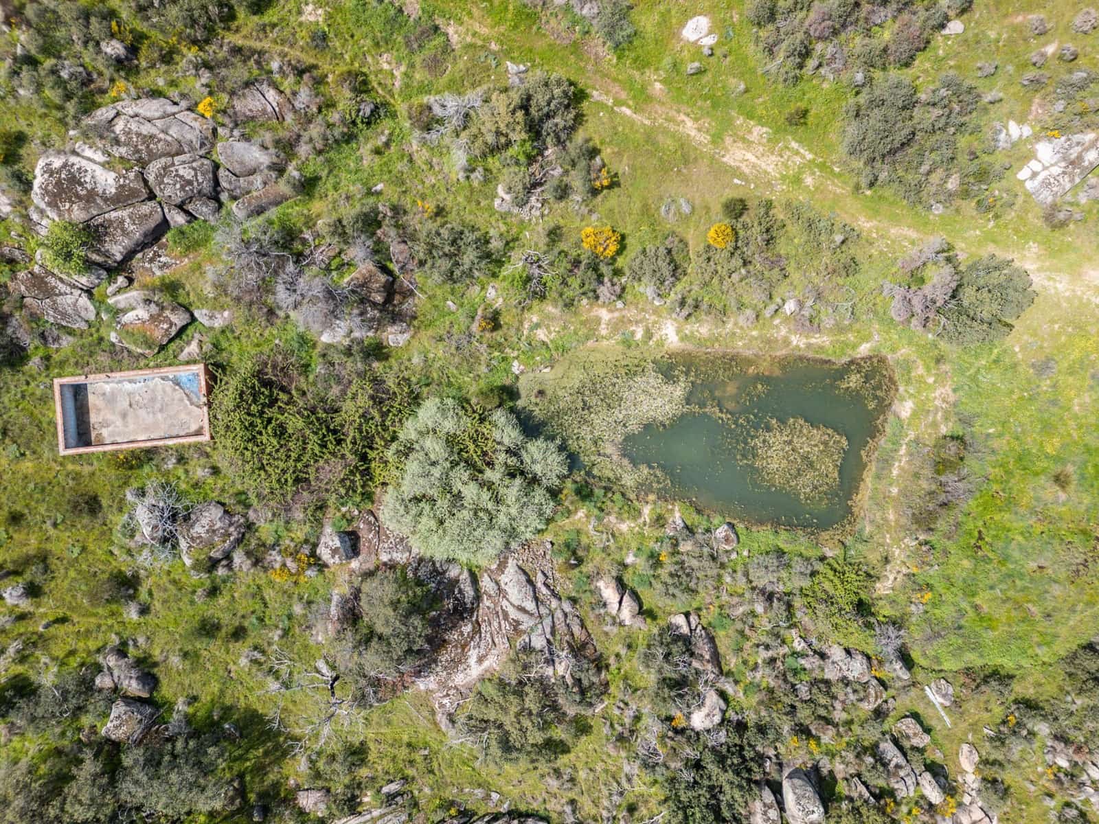 4 bedroom Finca/Country House for sale in Almorox - € 600,000 (Ref: 8942307)