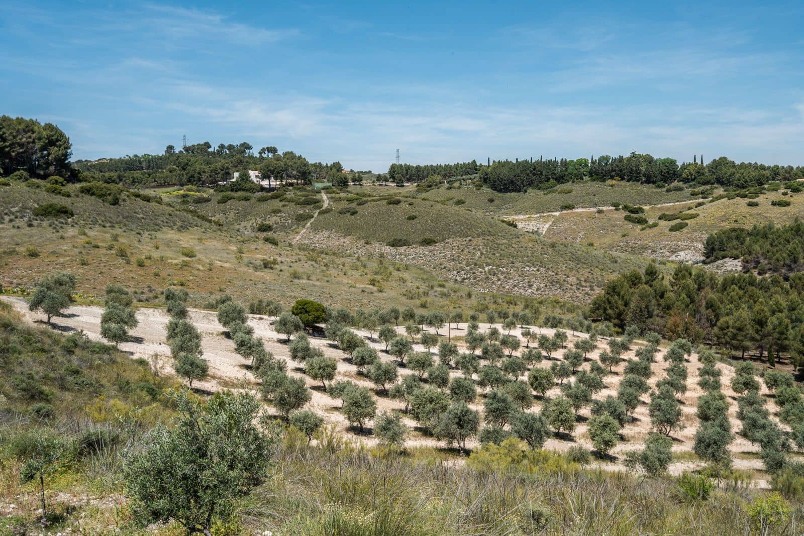 3 soveværelse Finca/Landehus til salg i Chinchon - € 975.000 (Ref: 9016692)