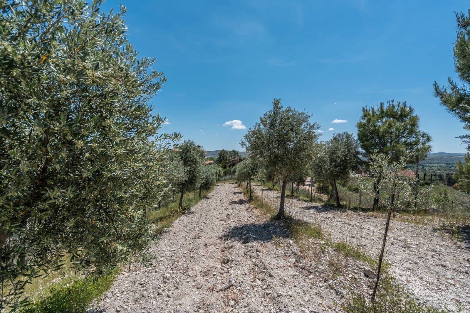 3 soveværelse Finca/Landehus til salg i Chinchon - € 975.000 (Ref: 9016692)