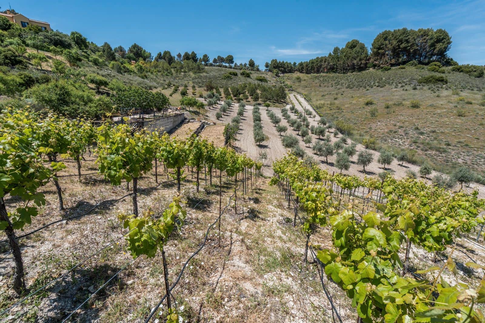 3 soveværelse Finca/Landehus til salg i Chinchon - € 975.000 (Ref: 9016692)