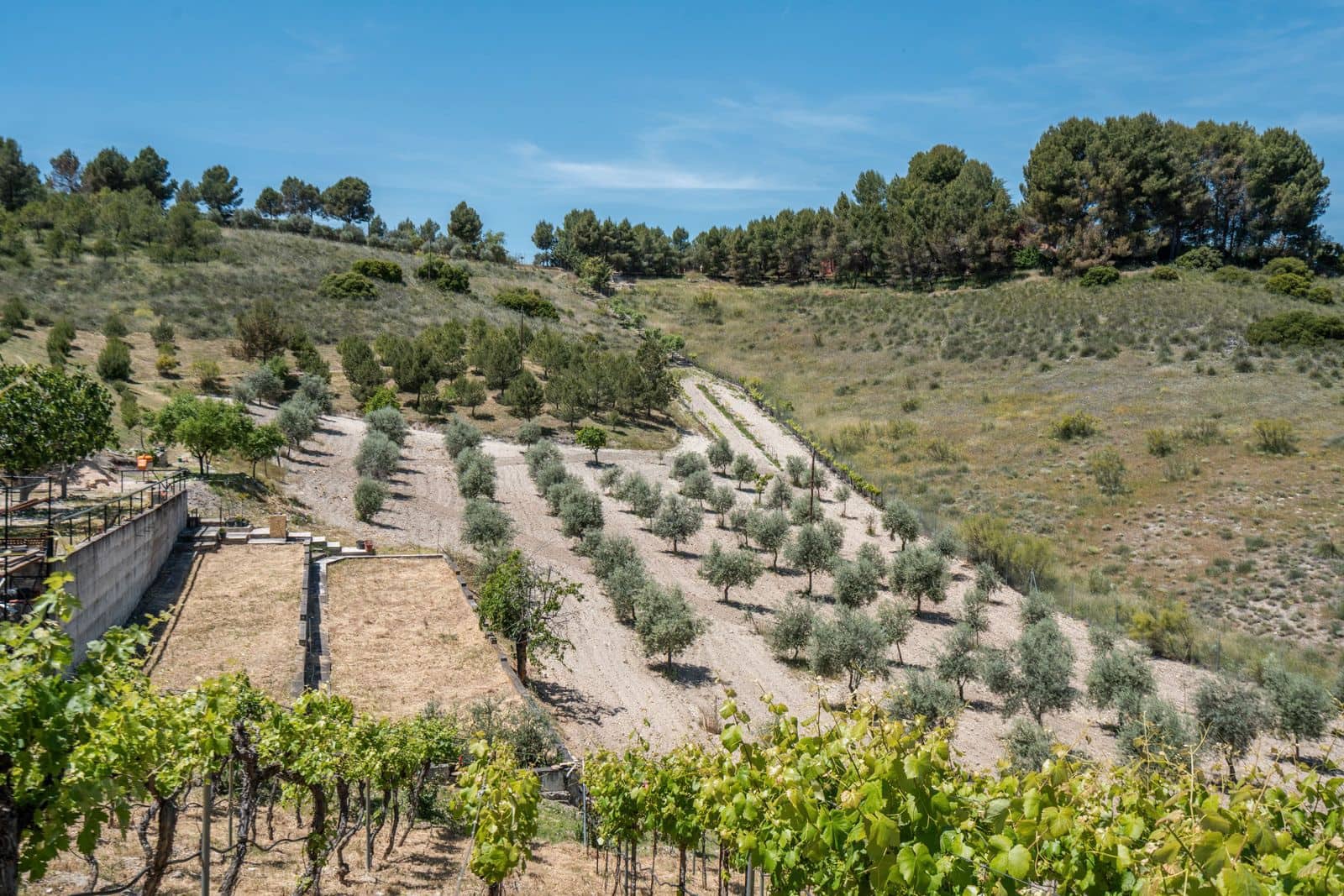 3 soveværelse Finca/Landehus til salg i Chinchon - € 975.000 (Ref: 9016692)