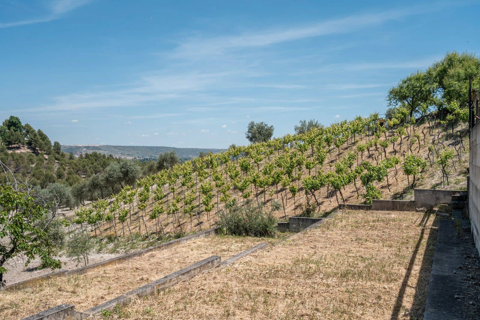 3 soveværelse Finca/Landehus til salg i Chinchon - € 975.000 (Ref: 9016692)