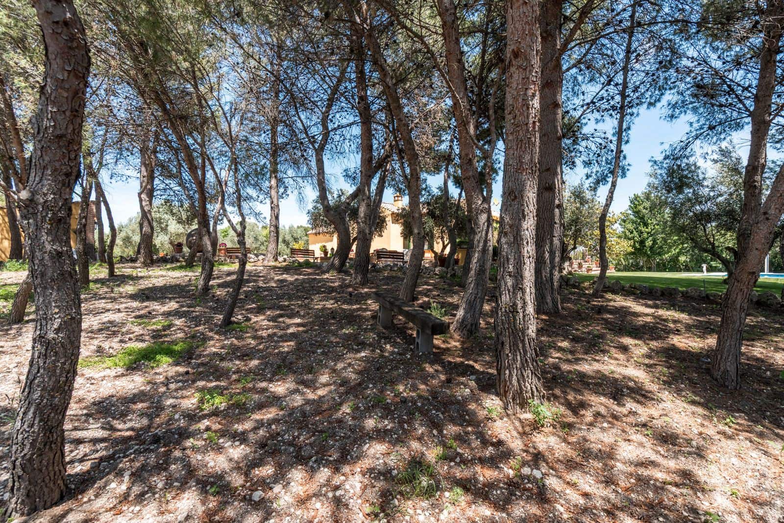 3 soveværelse Finca/Landehus til salg i Chinchon - € 975.000 (Ref: 9016692)