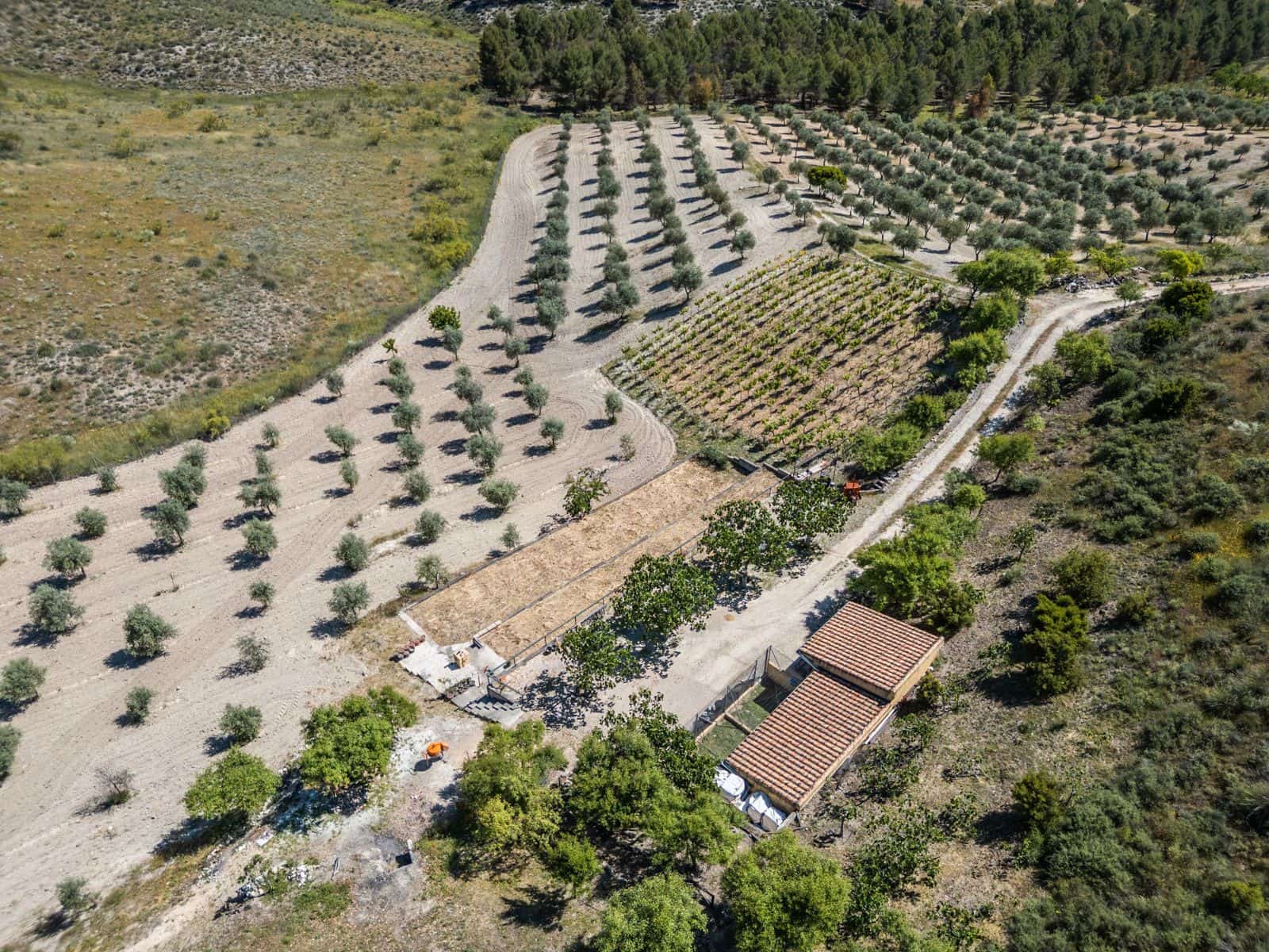 3 soveværelse Finca/Landehus til salg i Chinchon - € 975.000 (Ref: 9016692)