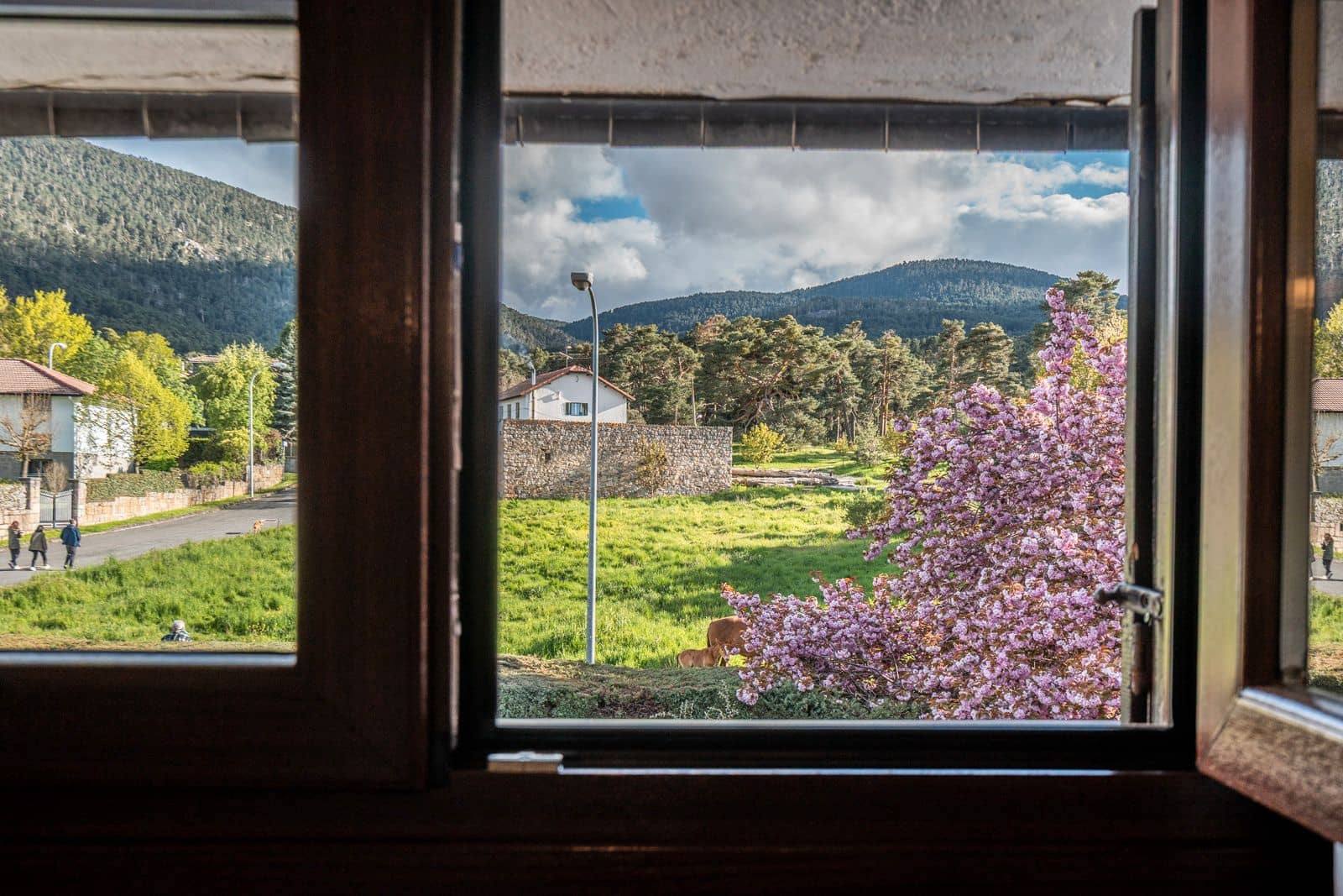 5 soveværelse Villa til salg i El Espinar med garage - € 930.000 (Ref: 9028440)