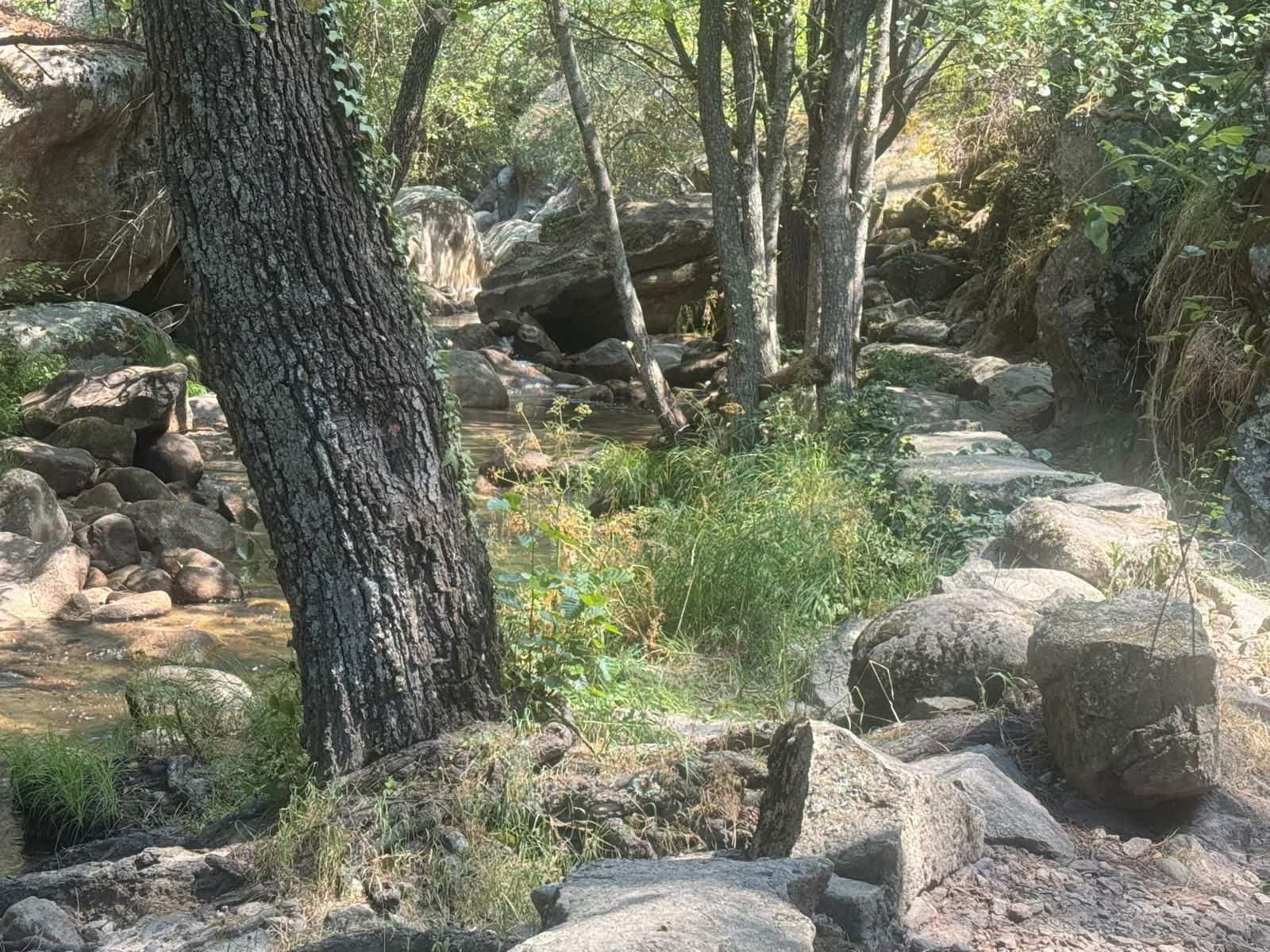 3 soveværelse Semi-Rækkehus til salg i Lanzahita - € 110.000 (Ref: 9108288)