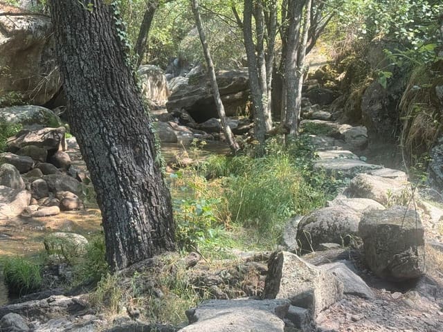 Pareado de 3 habitaciones en Lanzahíta en venta - 110.000 € (Ref: 9108288)