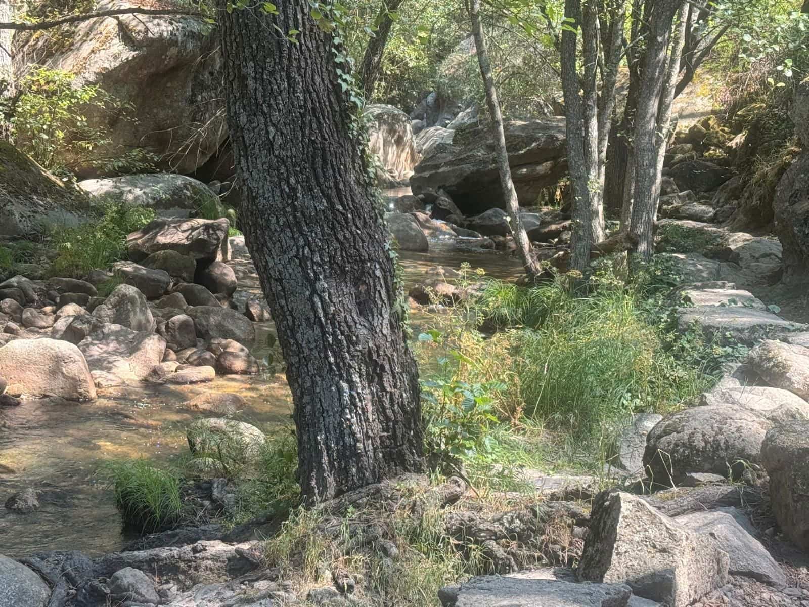 3 sovrum Semi-fristående Villa till salu i Lanzahita - 110 000 € (Ref: 9108288)