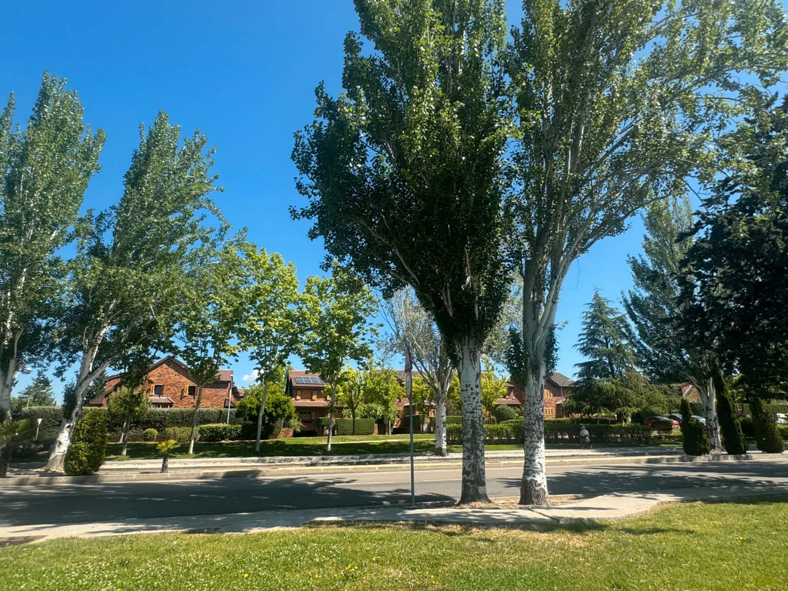 Erhverv til salg i Las Rozas de Madrid - € 190.000 (Ref: 9289389)