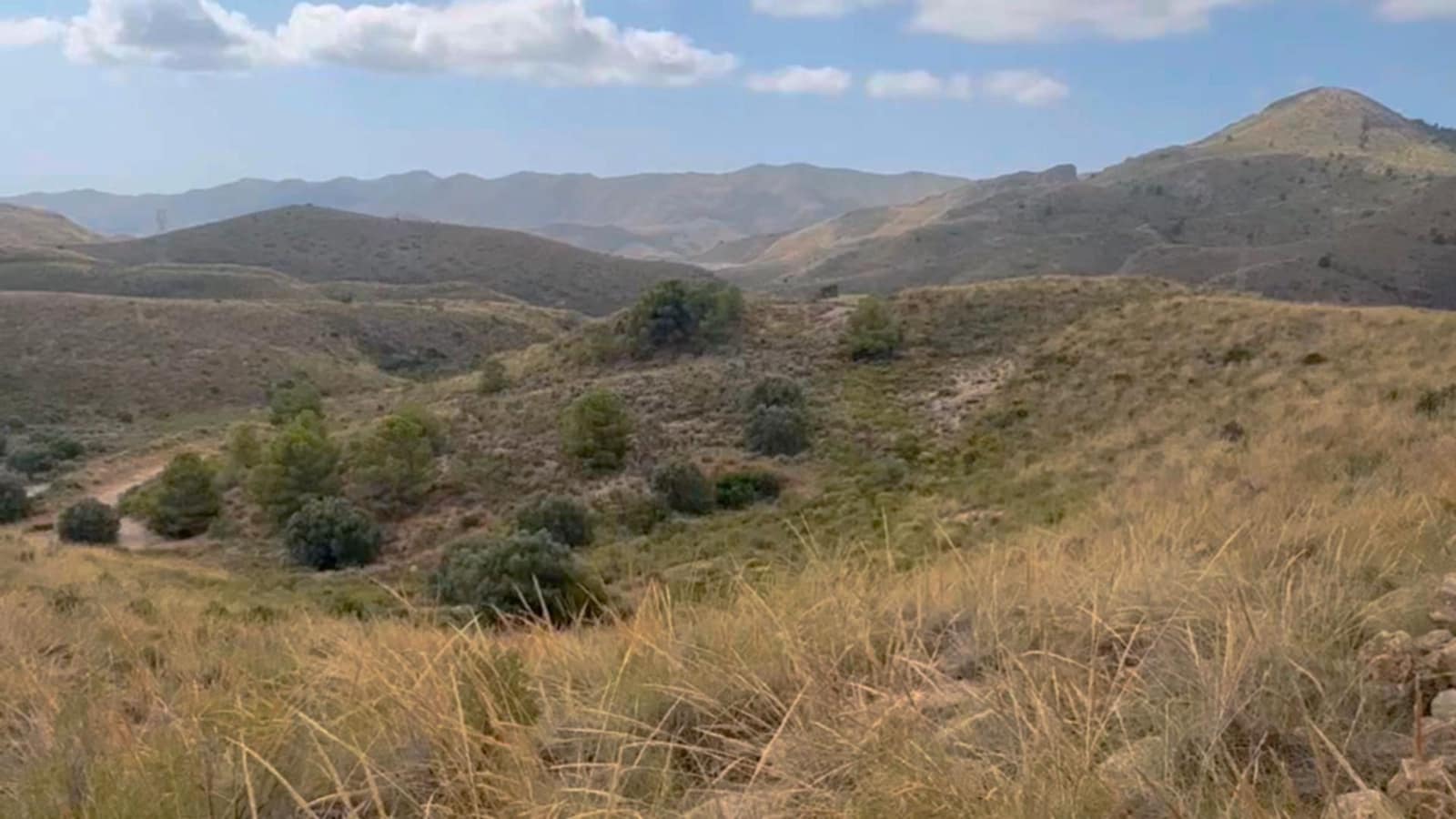 Finca/Maison de Campagne à vendre à Henares - 800 000 € (Ref: 9294017)