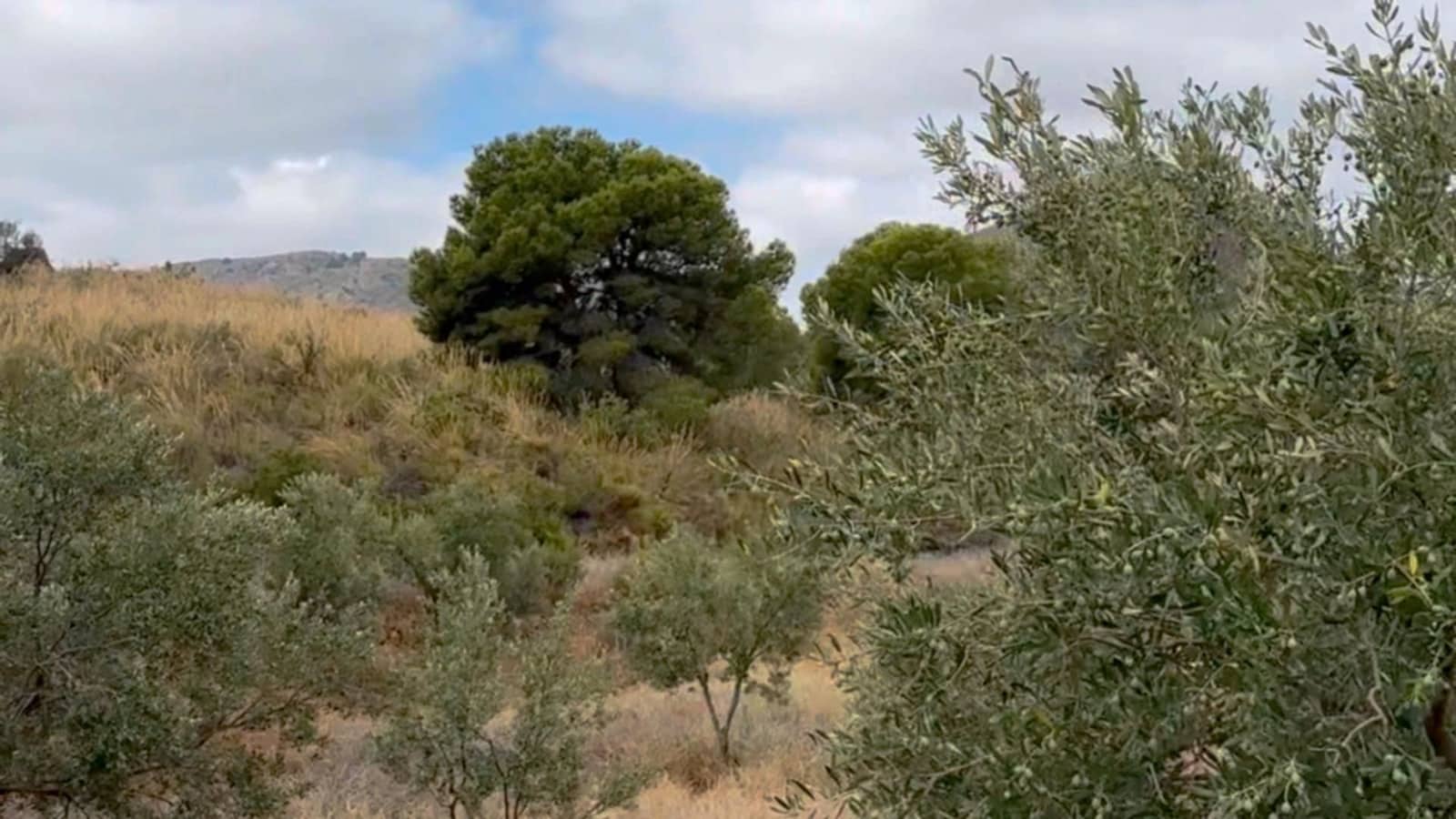 Finca/Maison de Campagne à vendre à Henares - 800 000 € (Ref: 9294017)