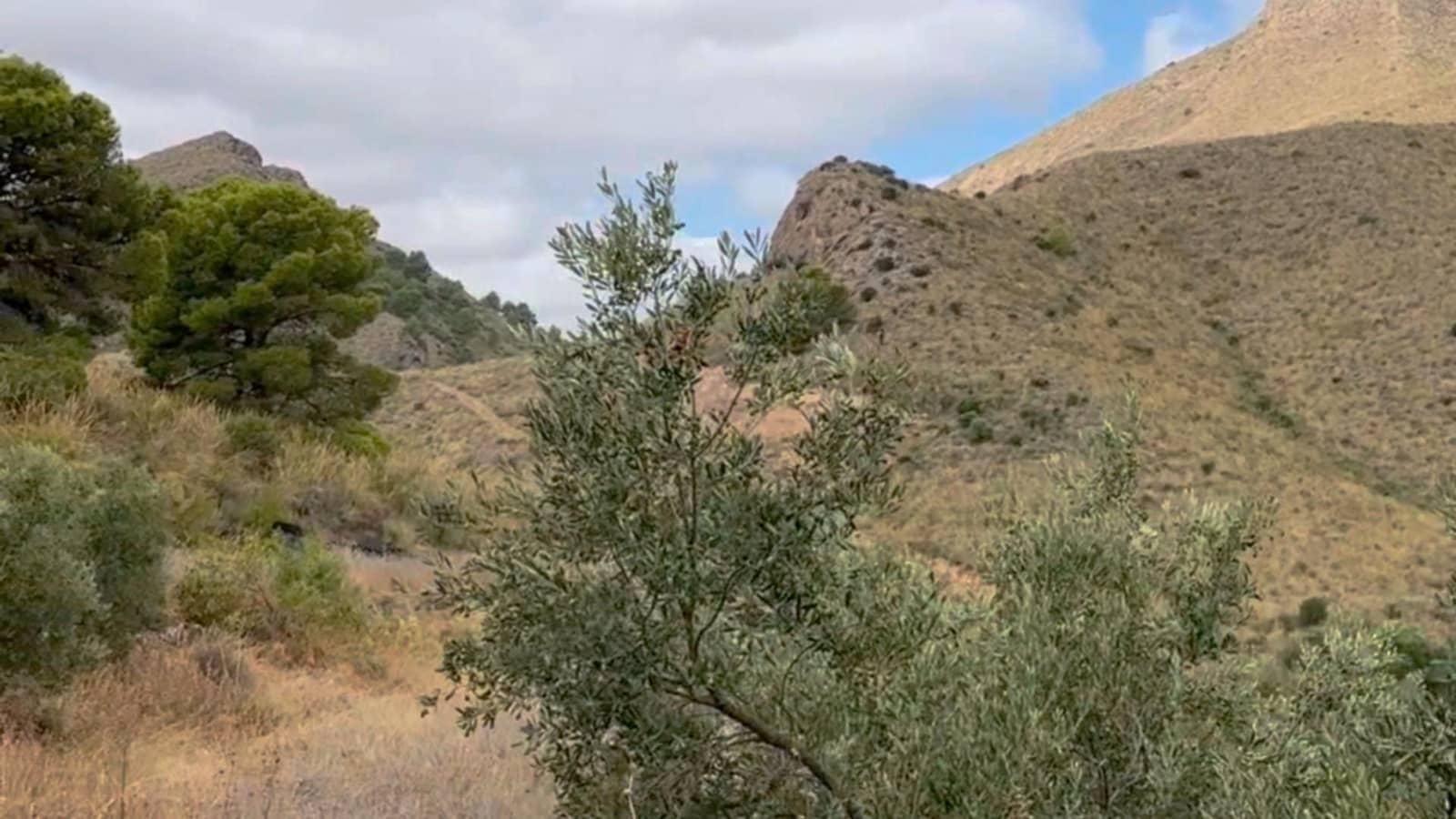 Finca/Maison de Campagne à vendre à Henares - 800 000 € (Ref: 9294017)