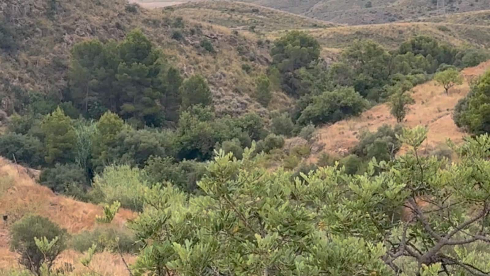 Finca/Maison de Campagne à vendre à Henares - 800 000 € (Ref: 9294017)