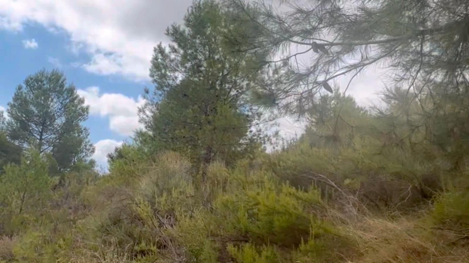 Finca/Maison de Campagne à vendre à Henares - 800 000 € (Ref: 9294017)