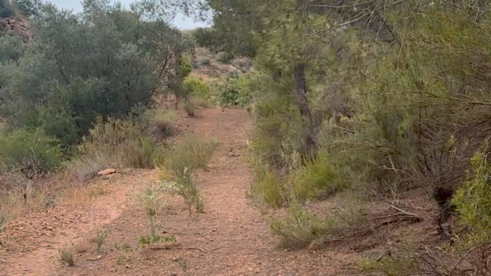 Finca/Maison de Campagne à vendre à Henares - 800 000 € (Ref: 9294017)